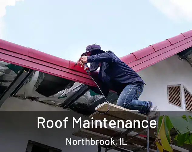  Roof Maintenance Northbrook, IL